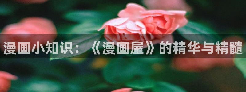 漫漫漫画最新地址