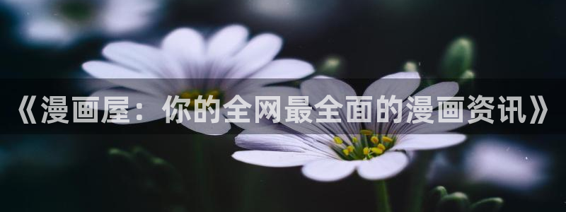 漫画屋官网